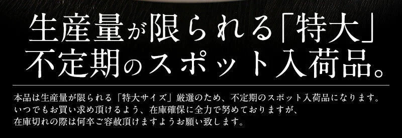 【超得ハイパーSALE】特大訳ありホタテ！ ホタテ ほたて 貝柱 特大 1kg 訳あり（割れ 欠け サイズ不揃い） ほたて貝柱 ホタテ貝柱 ほたて 帆立 海鮮［送料無料］ 母の日 プレゼント ギフト  母の日思いの 健康 実用的 父の日 子供