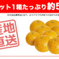 甘夏 訳あり 5kg みかん 蜜柑 ご家庭用 箱買い B品 サイズミックス あまなつ 柑橘 フルーツ 果物 産地直送 愛媛県産 YDF-014
