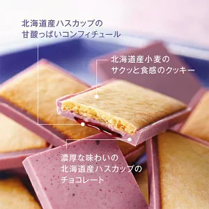 もりもと morimoto 北の散歩道【らいでんメロン・ハスカップ・いちご】【各1箱8枚入・計3箱】