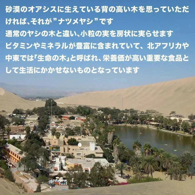 デーツ 無添加 ドライデーツ 800g サイヤー種 イラン産