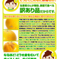 みかん　大分産　清見オレンジ　1.5kg　ご家庭用（発送予定：2025年3月上旬より）