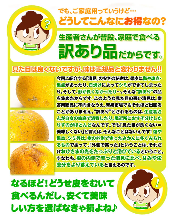 みかん　大分産　清見オレンジ　1.5kg　ご家庭用（発送予定：2025年3月上旬より）