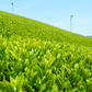 受賞茶園 宇治一番茶100ｇ