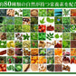 野草酵素《約1ヶ月分》酵素サプリ/サプリ/酵素ダイエット/サプリ/酵素サプリメント/ダイエット サプリ/ダイエット 酵素/【カウシェファーム収穫対象商品】