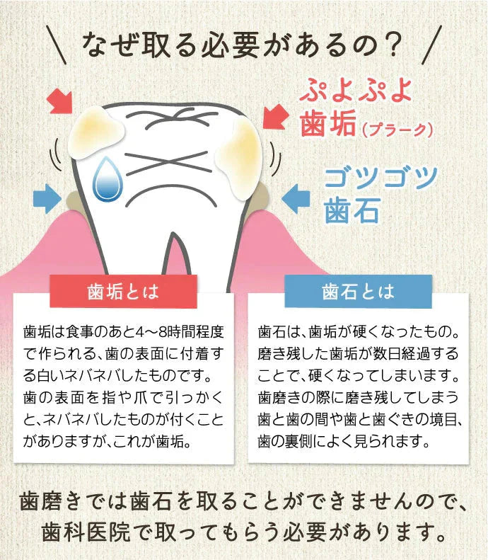 ヤニ取り＆歯石取り＆歯垢取りホームケア3点セット《スケーラー H5-33 1点・検診専用ミラー1点・Ciプラークチェッカー(歯垢染色液)ミニボトル(5ml)1点》【メール便送料無料】