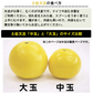 土佐文旦 中玉 4kg 送料無料 ご家庭用 箱買い サイズミックス みかん 柑橘 フルーツ 果物 産地直送 愛媛県産 YDF-007