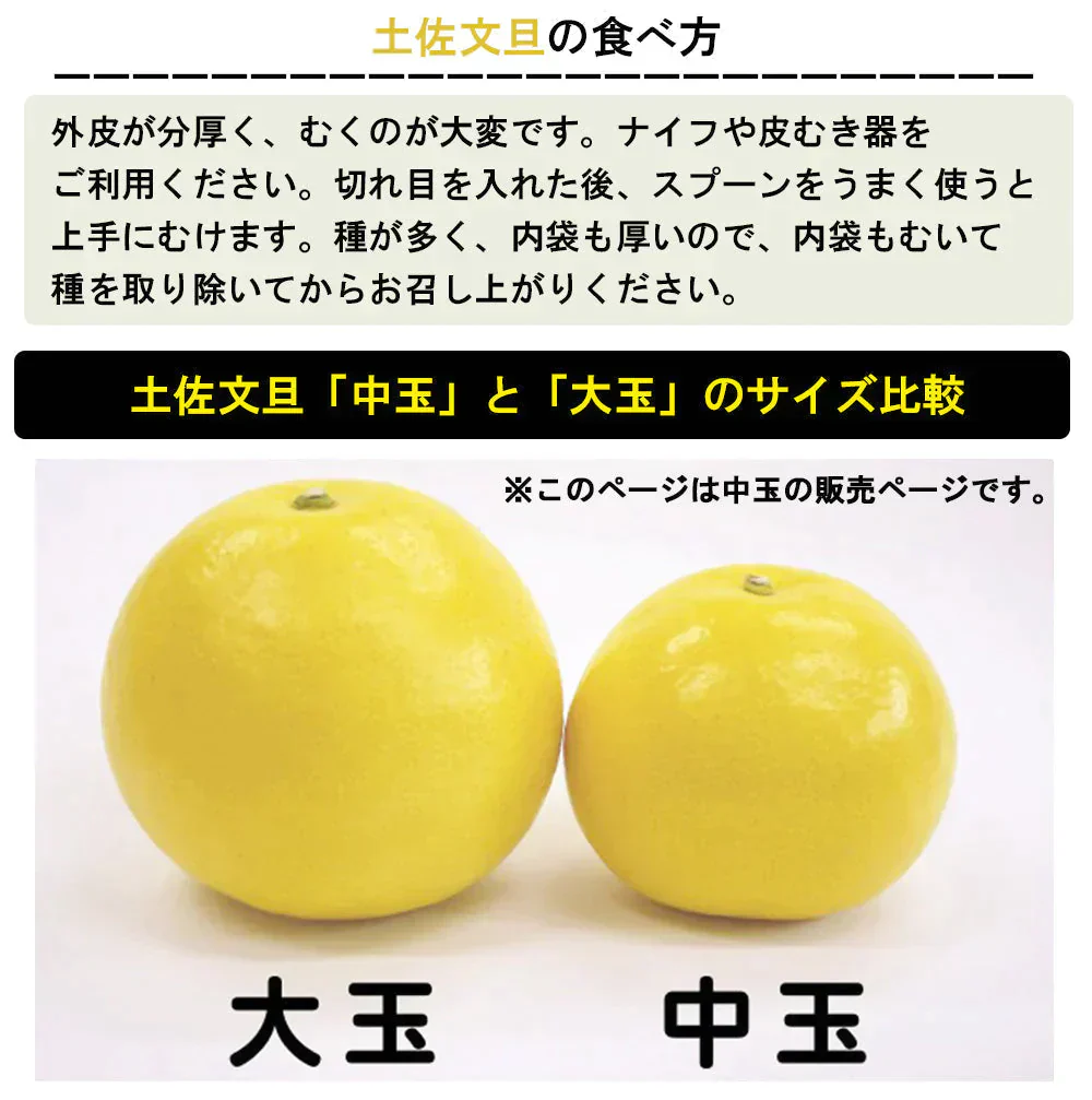 土佐文旦 中玉 4kg 送料無料 ご家庭用 箱買い サイズミックス みかん 柑橘 フルーツ 果物 産地直送 愛媛県産 YDF-007