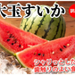 すいか 訳あり 大玉すいか 送料無料 6kg以上(6～10kg) 1玉 L〜3L 熊本すいか お取り寄せ スイカ 熊本県産 すいか 西瓜 フルーツ