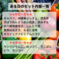 【送料無料】厳選おまかせ野菜とフルーツのセット 15品程度 【大田市場直送】