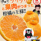 デコみかん たっぷり 8kg みかん 訳あり クール便 不知火 ミカン 熊本県産 デコポン と同品種 熊本 柑橘 美味しい みかん 産地直送 箱 でこ mikann くまもと風土 《1-5営業日以内に頃より発送予定》