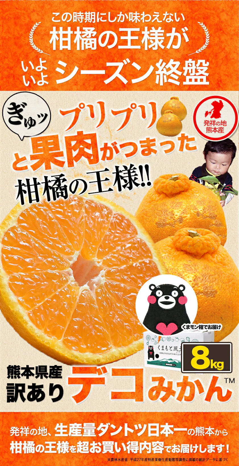 デコみかん たっぷり 8kg みかん 訳あり クール便 不知火 ミカン 熊本県産 デコポン と同品種 熊本 柑橘 美味しい みかん 産地直送 箱 でこ mikann くまもと風土 《1-5営業日以内に頃より発送予定》