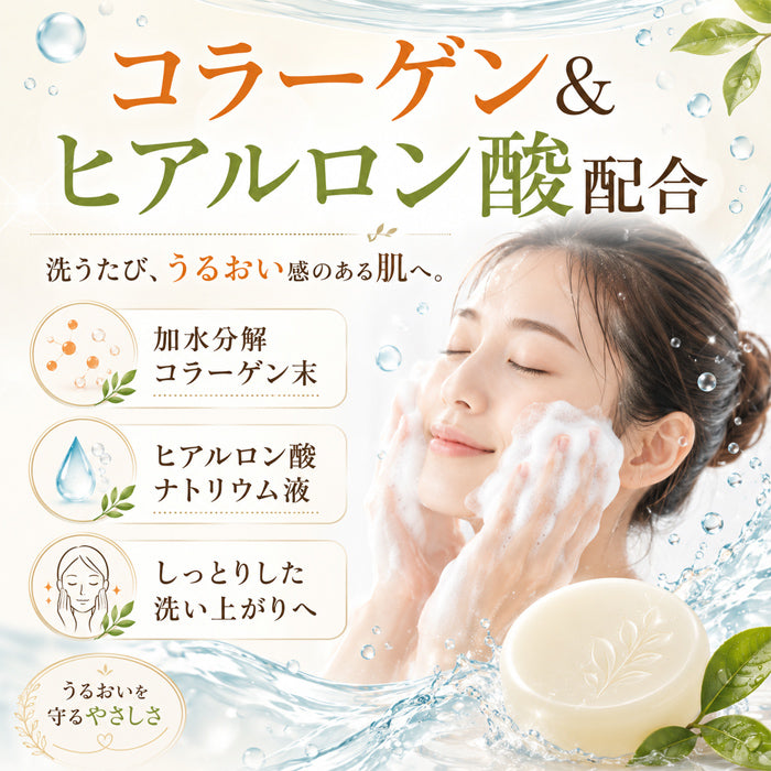 ＼気になる加齢臭を消す／ 石鹸 せっけん ボディソープ 柿渋 カテキン カキタンニン 体臭 男性 女性 加齢臭 足の臭い 脇のニオイ 殺菌 加齢臭対策 ボディケア / カキチャタンニンソープ 100g
