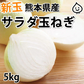 玉ねぎ サラダ玉ねぎ 5kg 送料無料 新玉 S～L 熊本県産 玉葱 たまねぎ 野菜