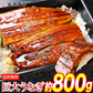 巨大うなぎ蒲焼 2尾 400g前後×2本 かばやき ウナギ うなぎ 土用丑の日 鰻蒲焼 送料無料 冷凍便 お取り寄せグルメ 食品 ギフト