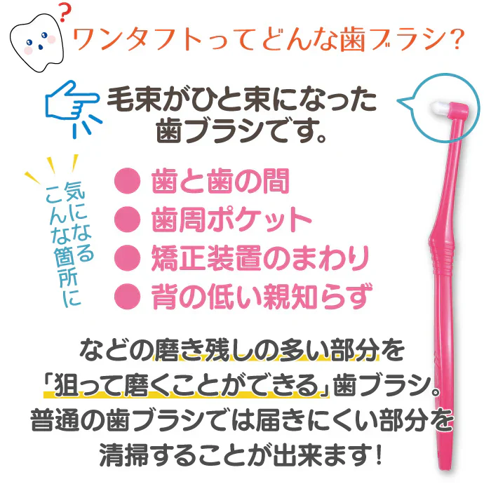 Ci PRO ワンタフトブラシ レギュラーヘッド Mふつう 10本セット【メール便送料無料】