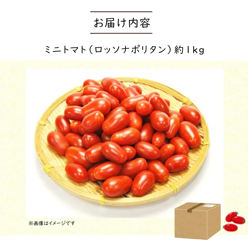 【8月初旬から発送】ミニトマト ロッソナポリタン 1kg イタリアントマト フルーツトマト 高糖度トマト とまと 山形県産
