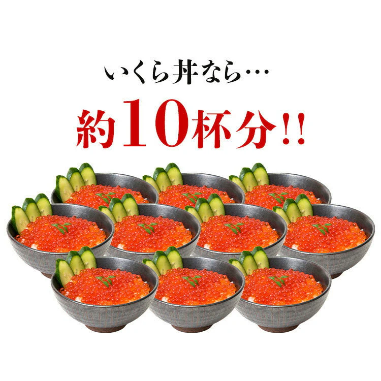 紅鮭いくら 醤油漬け 500g(250g×2P) イクラ いくら さけ 鮭 サケ 小分け 海鮮 丼 軍艦 手巻き 寿司 ちらし ikura 送料無料 冷凍便 お取り寄せグルメ 食品 ギフト 海鮮