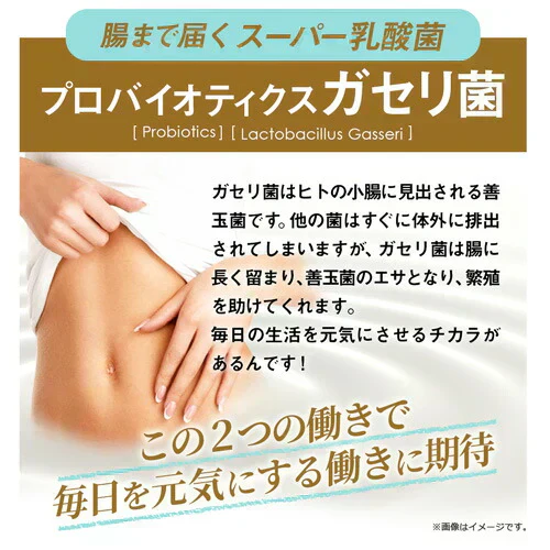 ガセリ菌エクオール まとめ買い 2個セット ガセリ菌 善玉菌 乳酸菌 腸活 菌活 エクオール サプリメント 大豆イソフラボン サプリメント 大容量 お徳用 健康 美容 RoyalBS 日本製