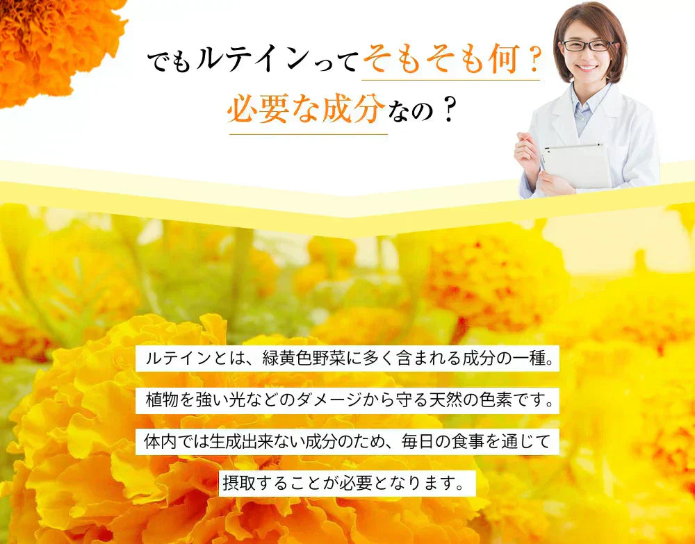 濃いルテイン《約3ヶ月分》ルテイン サプリ サプリメント 亜麻仁油 エゴマ油 ビタミンA ビタミンE ブルーライト デジタルケア マリーゴールド抽出物 PC スマホ【大容量】
