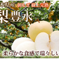 梨 豊水 送料無料 秀品 約3kg 熊本県産 ナシ なし 幸水 秋月 新高