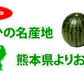 すいか 送料無料 訳あり 小玉すいか 2玉 約2～2.5kg スイカ 熊本すいか お取り寄せ すいか 西瓜 ひとりじめ 果物 フルーツ