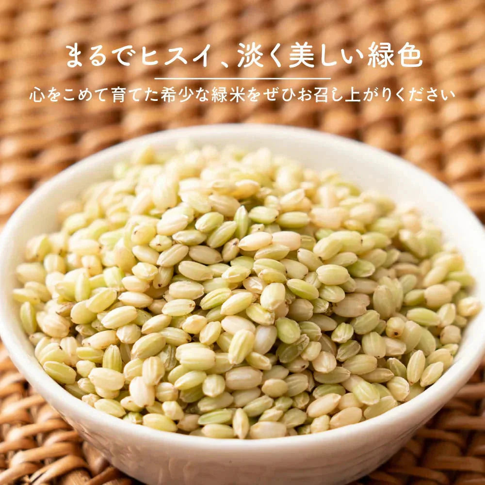 雑穀 雑穀米 国産 緑米 2.4kg(400g×6袋) ファミリーサイズ 無添加 無着色 送料無料 古代米 みどりまい