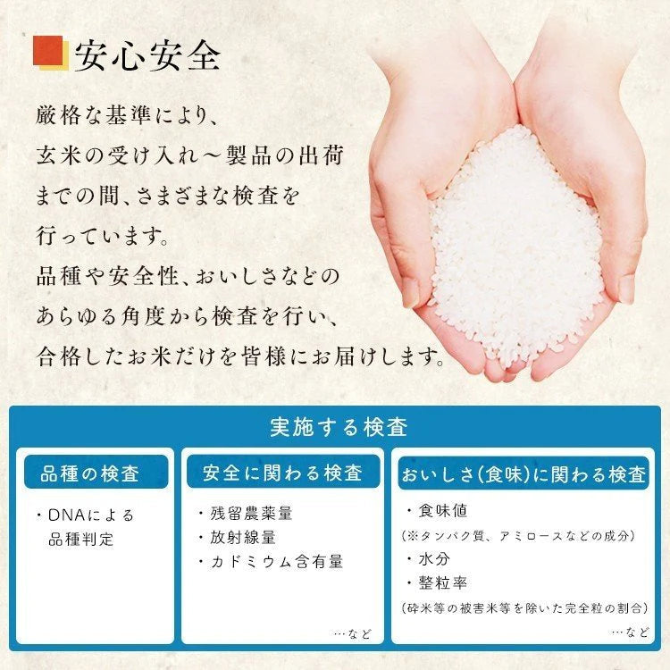 【カートアップNG】【2個セット】【新米】【令和4年産】米無洗米秋田県産 あきたこまち 10kg（5kg×2)低温製法米 精米 お米 10キロ アキタコマチ ご飯 コメ アイリスオーヤマ ごはん アイリスフーズ