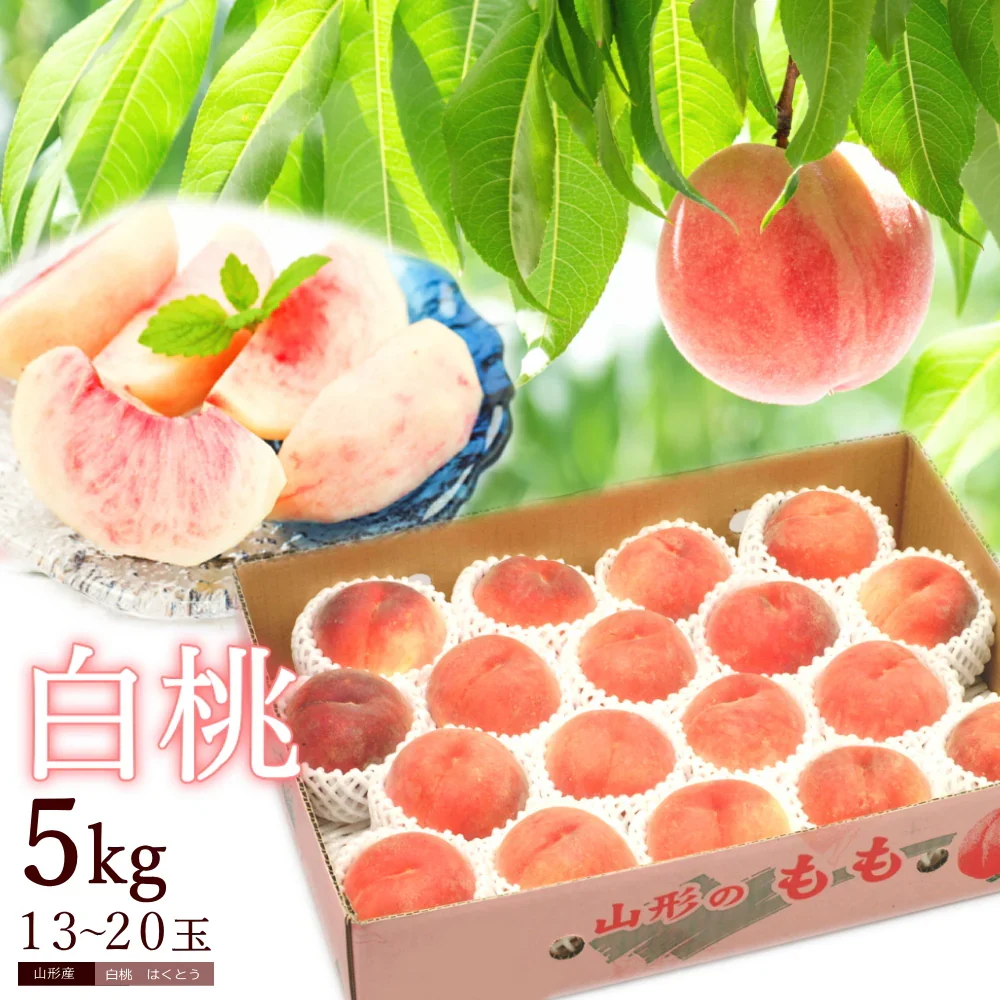 【8月中旬頃-9月中旬頃ご注文受付順次】白桃 約5kg 13-20玉前後 もも ピーチ モモ 桃 くだもの フルーツ ご家庭用 山形産