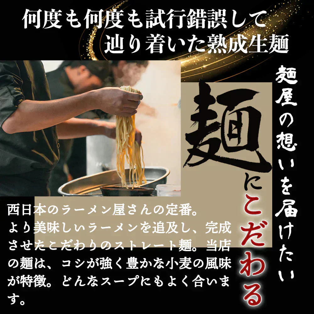 広島つけ麺 2食セット 唐辛子＆ごま付 [ ラーメン つけ麺 つけめん 生麺 広島 醤油 ご当地 旨辛 ピリ辛 お取り寄せ グルメ 瀬戸内 ギフト] K【ご新規さん限定商品】