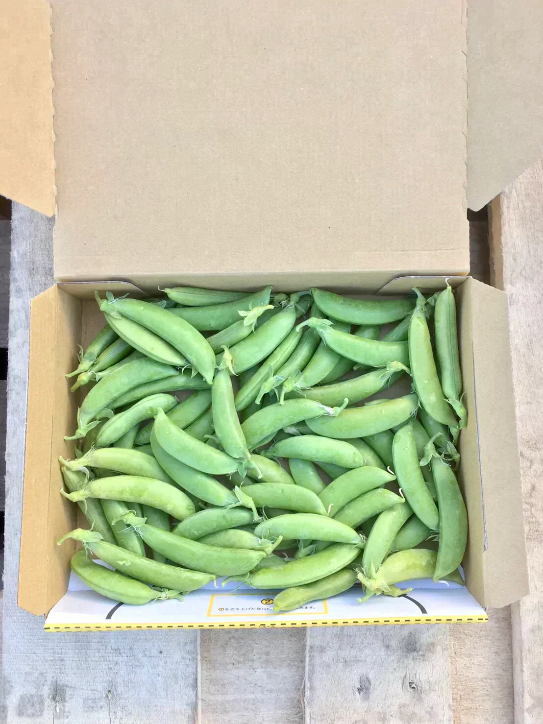 【鹿児島産】甘塩スナップエンドウ箱込み500g^_^