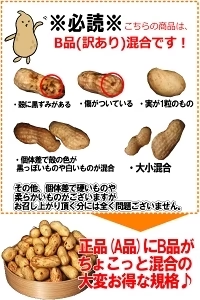 【数量限定】千葉県産　おおまさり　生落花生　1㎏　有機栽培