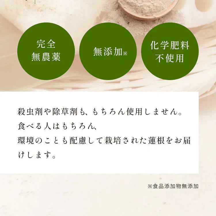 れんこんパウダー 国産 70g 無農薬 粉末 レンコンパウダー ポリフェノール レシピ 離乳食 ヨーグルト スイーツ 食物繊維 タンニン れんこん 蓮根パウダー 野菜パウダー レンコン粉 熊本県産 化学肥料不使用 送料無料