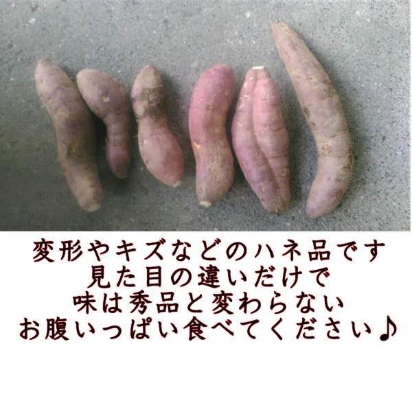 訳あり 紅はるか 箱込3キロ(2.7kg+保証分300g) 新物 サイズおまかせ さつまいも 蜜芋 熊本産 送料無料　80サイズ