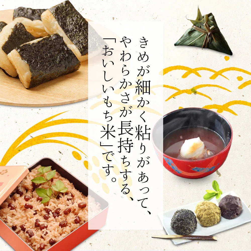 もち米 20kg (5kg×4袋) 国内産 餅米