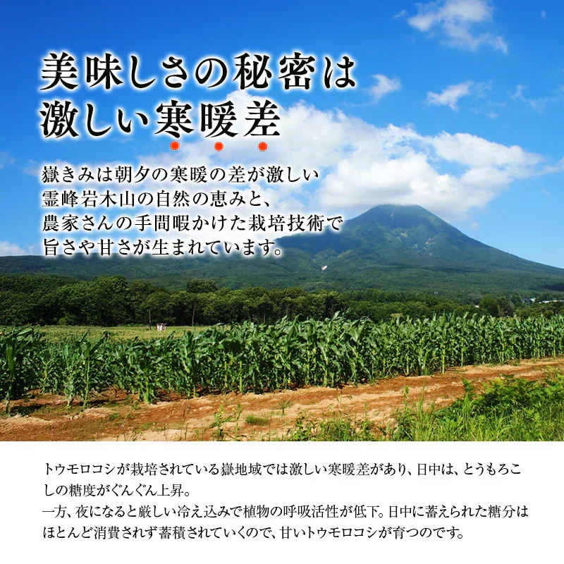 【朝採&産地直送！】青森県産 プレミアムとうもろこし 嶽きみ 12本セット とうもろこし トウモロコシ 野菜 だけきみ