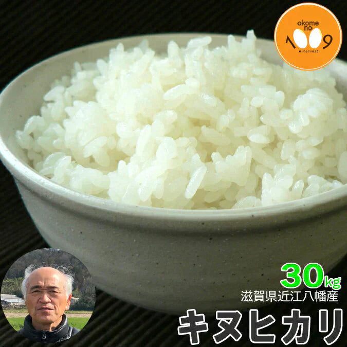 新米 滋賀県近江八幡産 キヌヒカリ 玄米 30kg 内野営農組合 令和6年産 環境こだわり農産物
