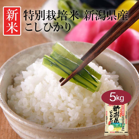 米 精米 新潟県 特別栽培米 こしひかり 5kg 令和5年産 新米 JA北越後指定 お米 白米 おくさま印 国産 食品 ギフト 引っ越し 挨拶 出産 内祝い 母の日 父の日 お中元 お歳暮 結婚 快気 還暦 香典返し お年賀 送料無料