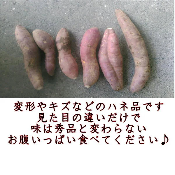 訳あり 紅はるか 箱込10キロ(9kg+保証分500g) 新物 サイズおまかせ さつまいも 蜜芋 熊本産 送料無料