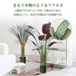 フェイクグリーン 「モミジレッド」 観葉植物 大型 人工観葉植物 リアル フェイク グリーン インテリア 飾り用 撮影用 部屋飾り 造花 お祝い プレゼント おしゃれ
