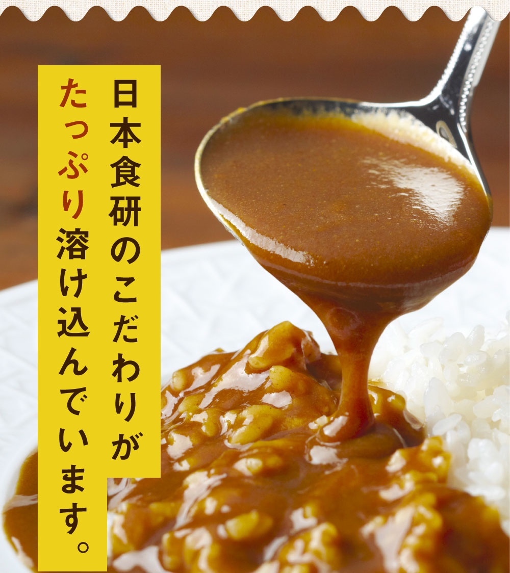 食研カレー 4食 (200g×4) 日本食研 中辛 送料無料 レトルトカレー 非常用 防災 備蓄 フード