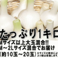【即日発送】青森県産 幻の生にんにく 1kg【冷蔵便】 令和8年度産 Mサイズ以上L～2L混合
