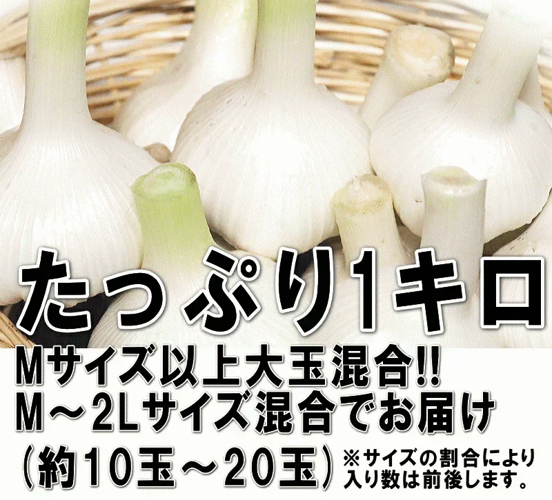 【即日発送】青森県産 幻の生にんにく 1kg【冷蔵便】 令和8年度産 Mサイズ以上L～2L混合