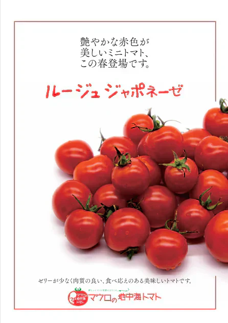 【ルージュ ジャポネーゼ！！　トマト　ミニトマト　プチトマト】　産地直送　700g　農家直送
