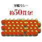 【タイムセール】最安値に挑戦！紅鮭いくら 醤油漬け 500g(250g×2P) イクラ いくら さけ 鮭 サケ 小分け 海鮮 丼 軍艦 手巻き 寿司 ちらし ikura 送料無料 冷凍便 お取り寄せグルメ 食品 ギフト 海鮮