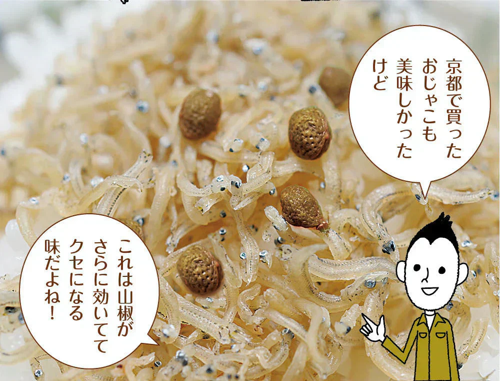 【6個セット】日本橋いなば園 しびれる山椒 瀬戸内ちりめん山椒 35g メール便送料無料