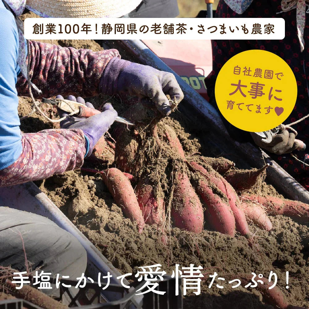 紅金波使用さつまいもチップス(駿河湾塩味)×5袋