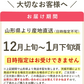 【12月上旬-下旬頃ご注文受付順次】訳ありりんご サンふじ 約3kg バラ詰め 山形産 林檎 リンゴ ふじ フジ 訳あり サイズ混合