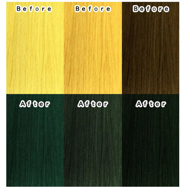 エンシェールズ カラーバター 200g アッシュグリーン ヘアカラー トリートメント ヘアマニキュア ヘアケア クリップジョイント マニキュア インナーカラー ダメージヘア ブリーチヘアー