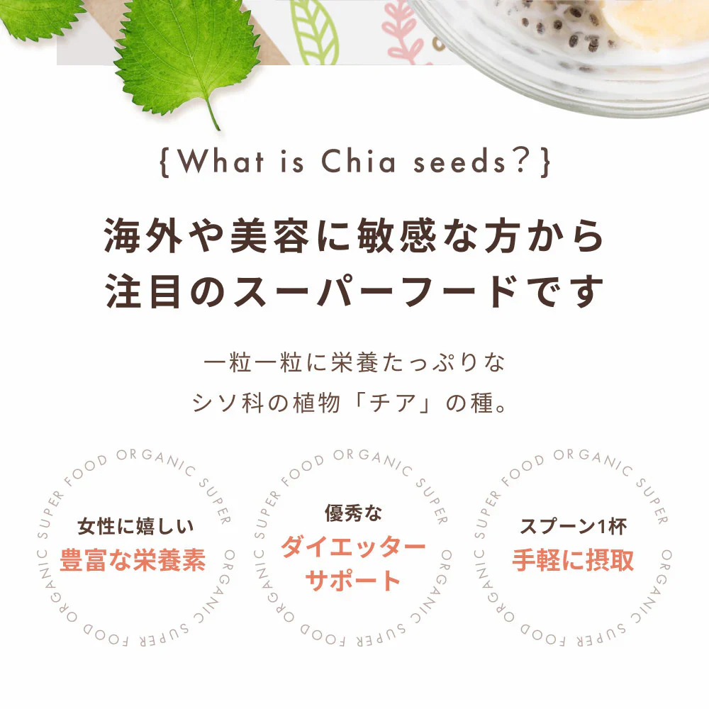 GreenDish ホワイトチアシード 無農薬 無添加 サプリ スーパーフード 600g 国内加工選別 残留農薬検査済 加熱OK