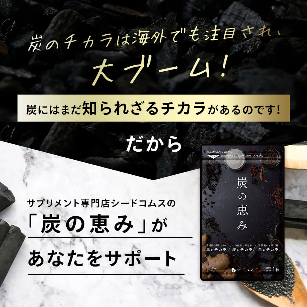 炭の恵み《約1ヶ月分》 チャコールクレンズ 炭 ダイエット サプリ サプリメント 送料無料 乳酸菌 オリゴ糖 炭クレンズ  食物繊維   黒生姜  松炭 ヤシ殻活性炭末